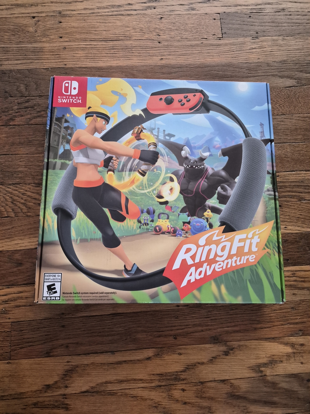 Nintendo Ring Fit Adventure - Black/Gray Ring-Con (Black)